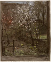 Frühlingsblüten